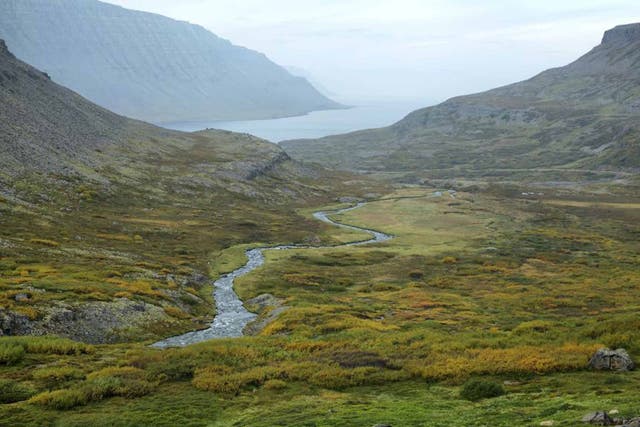 Natural larder: Westfjords