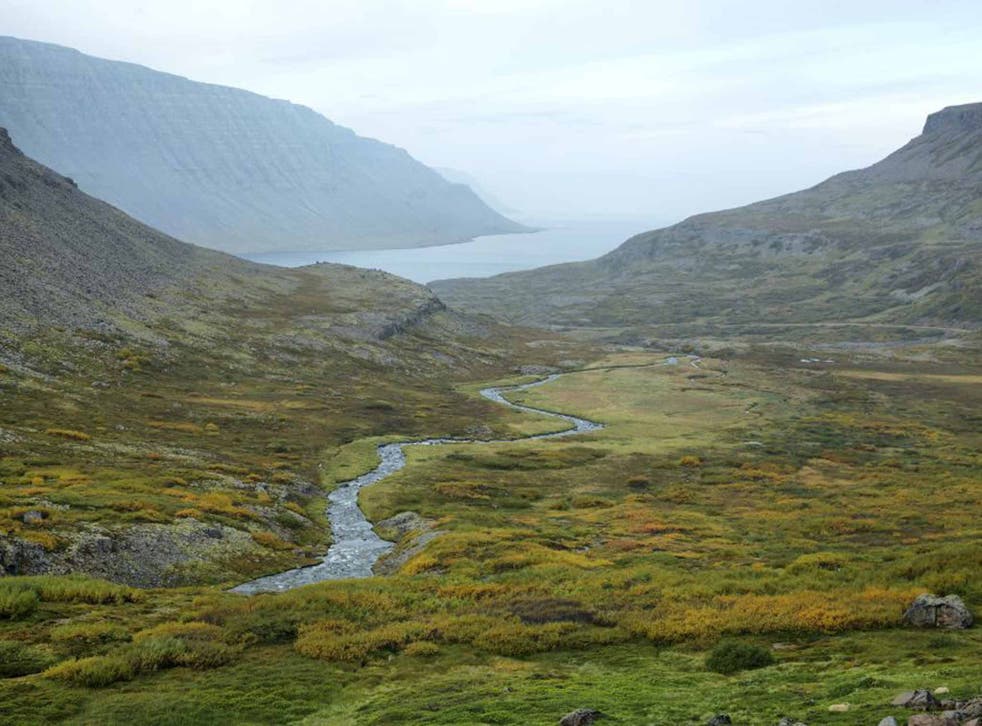 Natural larder: Westfjords