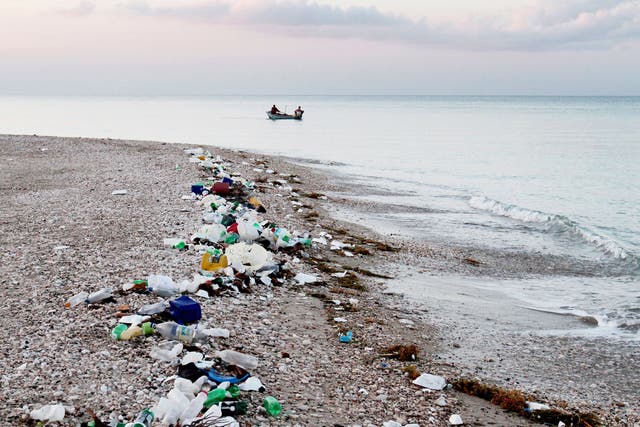 Marine debris and plastic pollution along the coastline of Haiti