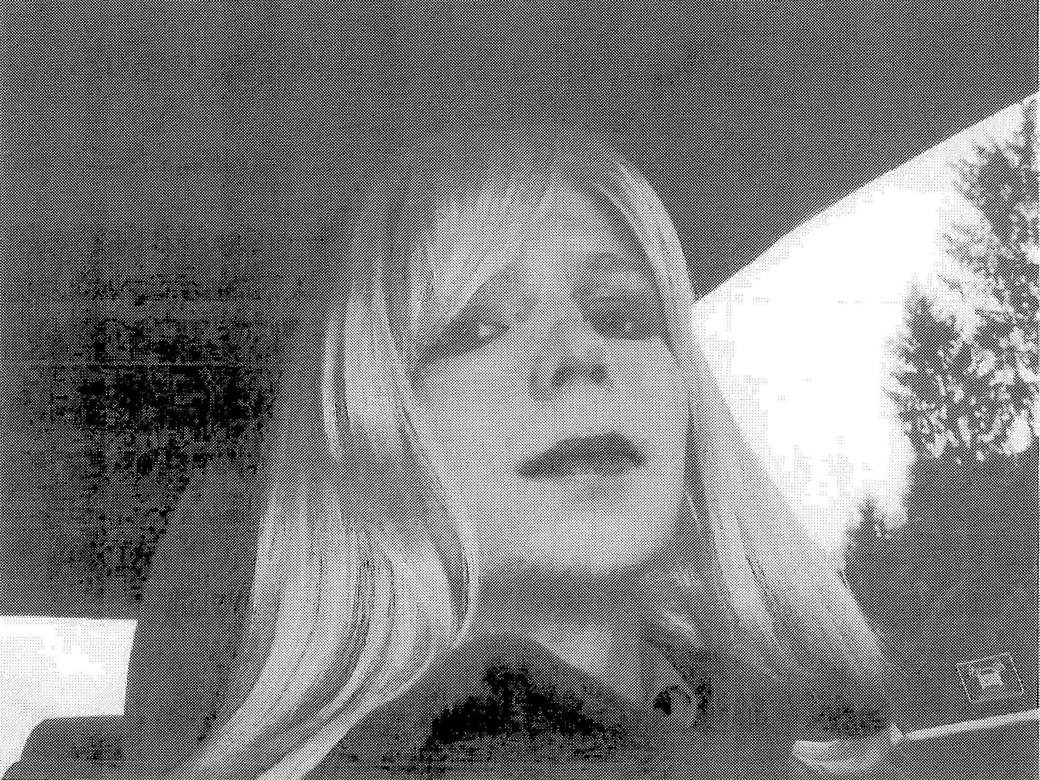 Chelsea Manning is currently serving a 35-year prison sentence