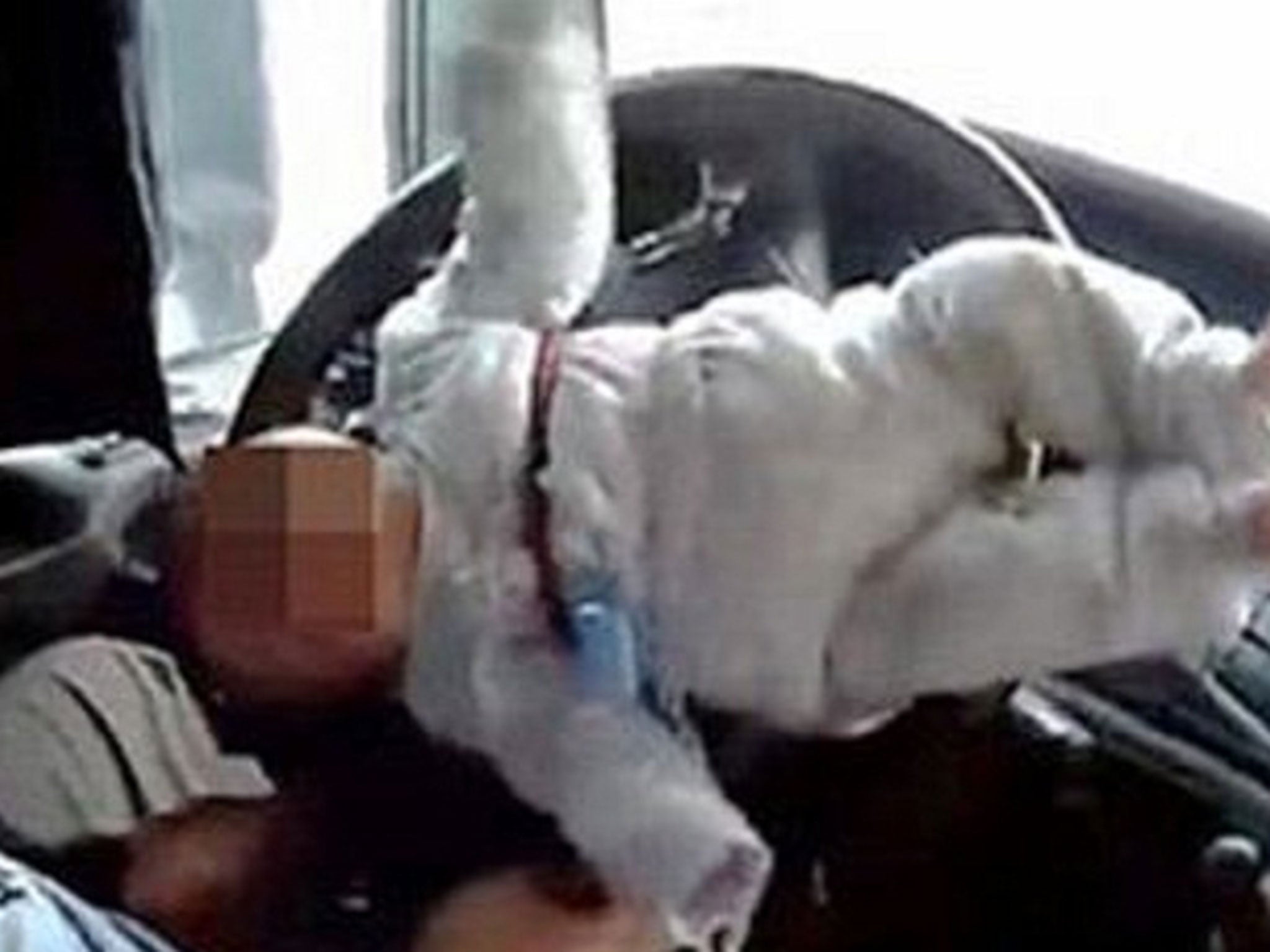 The baby was strapped to the steering wheel as the dad pretended to drive