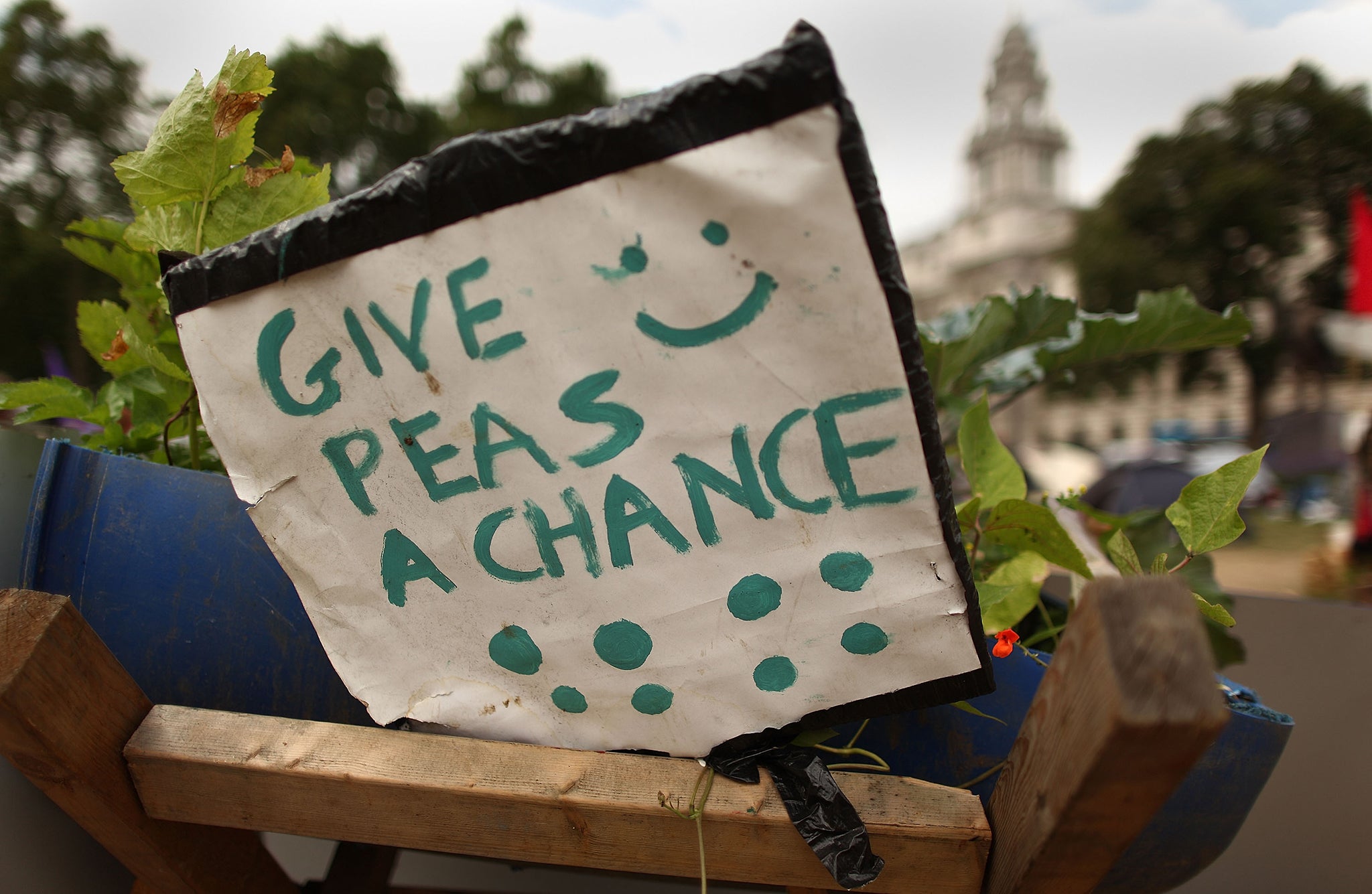 Give Peas a Chance?
