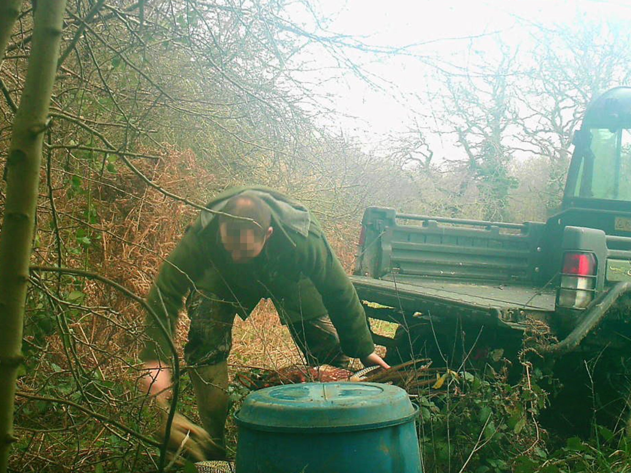 Secret photos reveal a pit filled with bird and animal carcasses