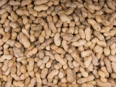 Food scandal over peanuts 'more serious' than horsemeat crisis
