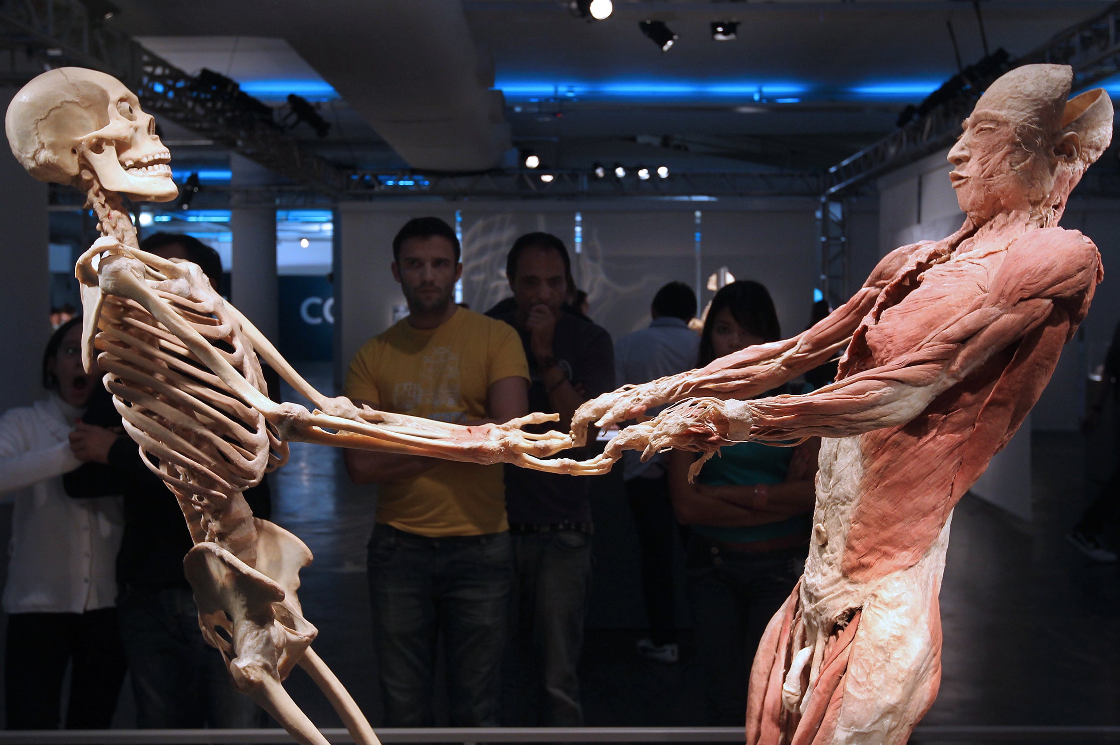 Visitors look at plastinated human bodies at 'Body - The Exhibition', in Sao Paulo, Brazil; the technology to store a high-resolution, three-dimensional copy of body organs and tissues already exists