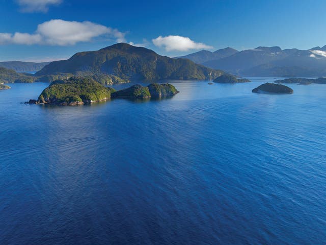 Dusky Sound, Fiordland, New Zealand (Rob Suisted / www.naturespic.com)