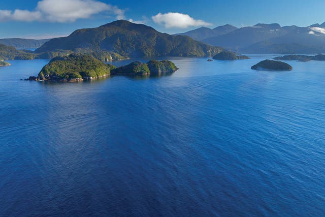 Dusky Sound, Fiordland, New Zealand (Rob Suisted / www.naturespic.com)