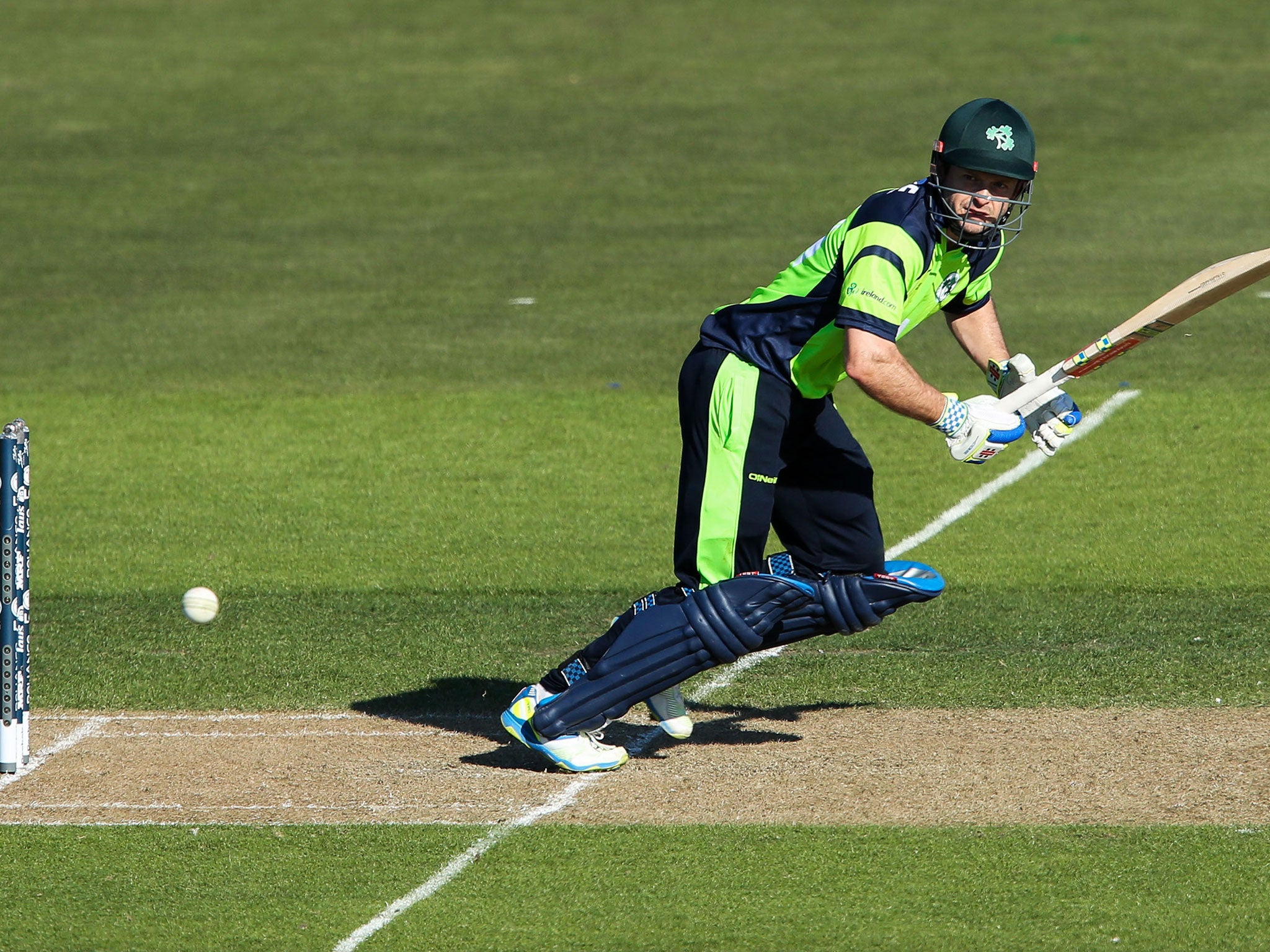 Ed Joyce hit 84 for Ireland as they chased down the West Indies total of 304-7