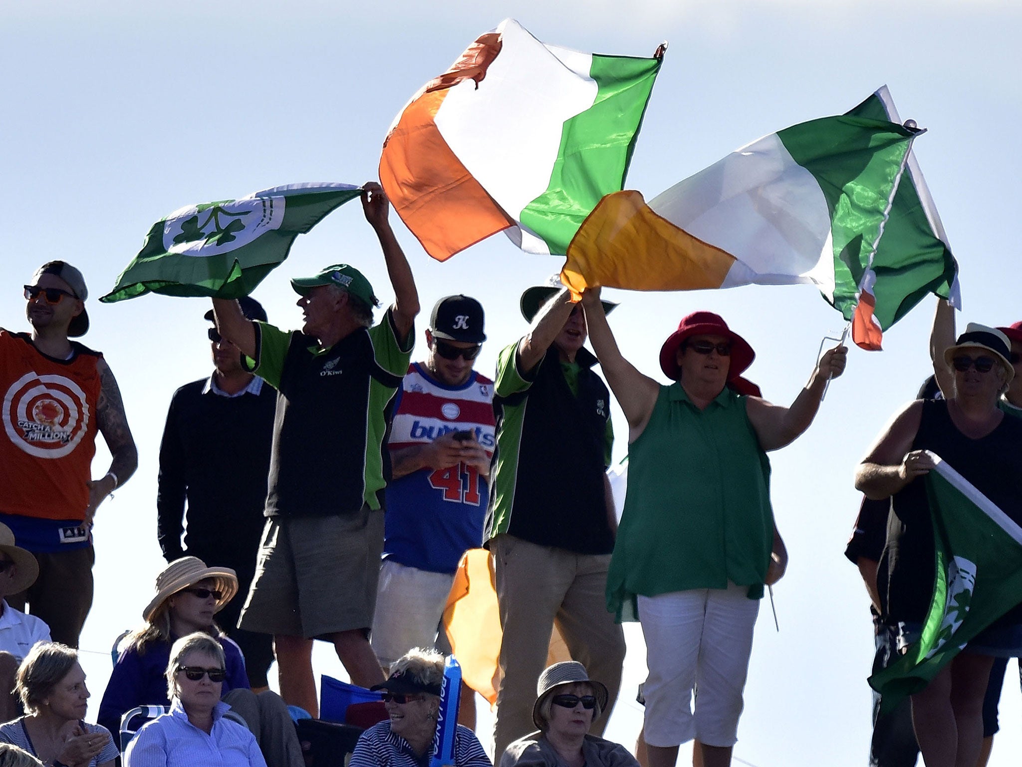 Irish fans celebrate the victory over West Indies