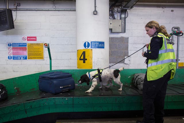 The UK Border Force checks luggage arriving at Gatwick Airport for illegal drugs.