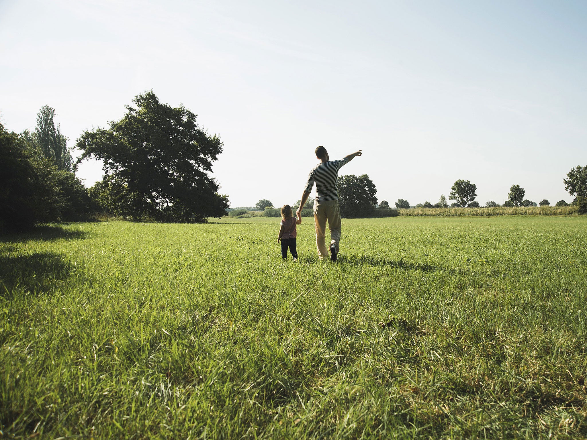 Father walking with his little daughter on a meadow