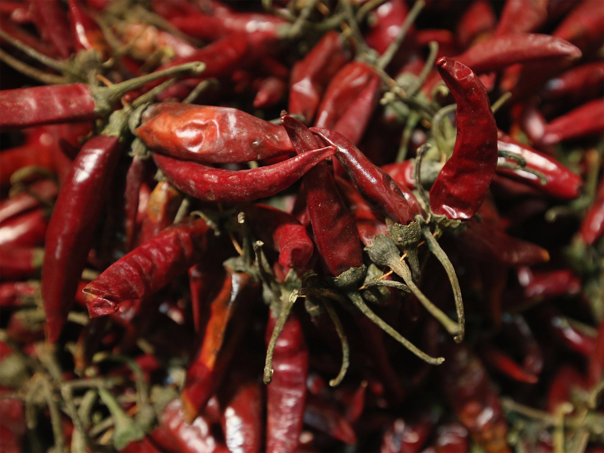 Dried paprika peppers