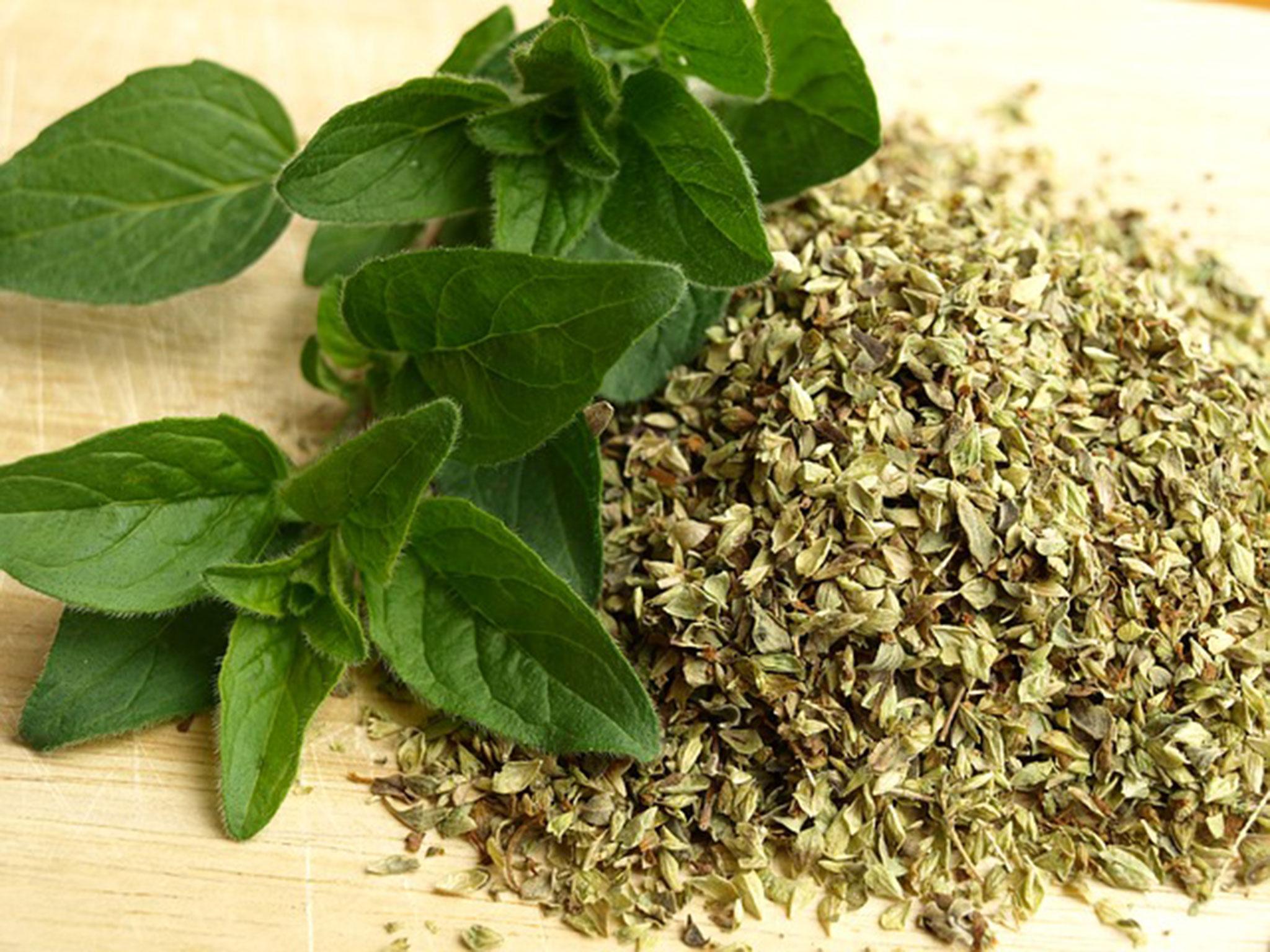 There are plenty of growing options for oregano