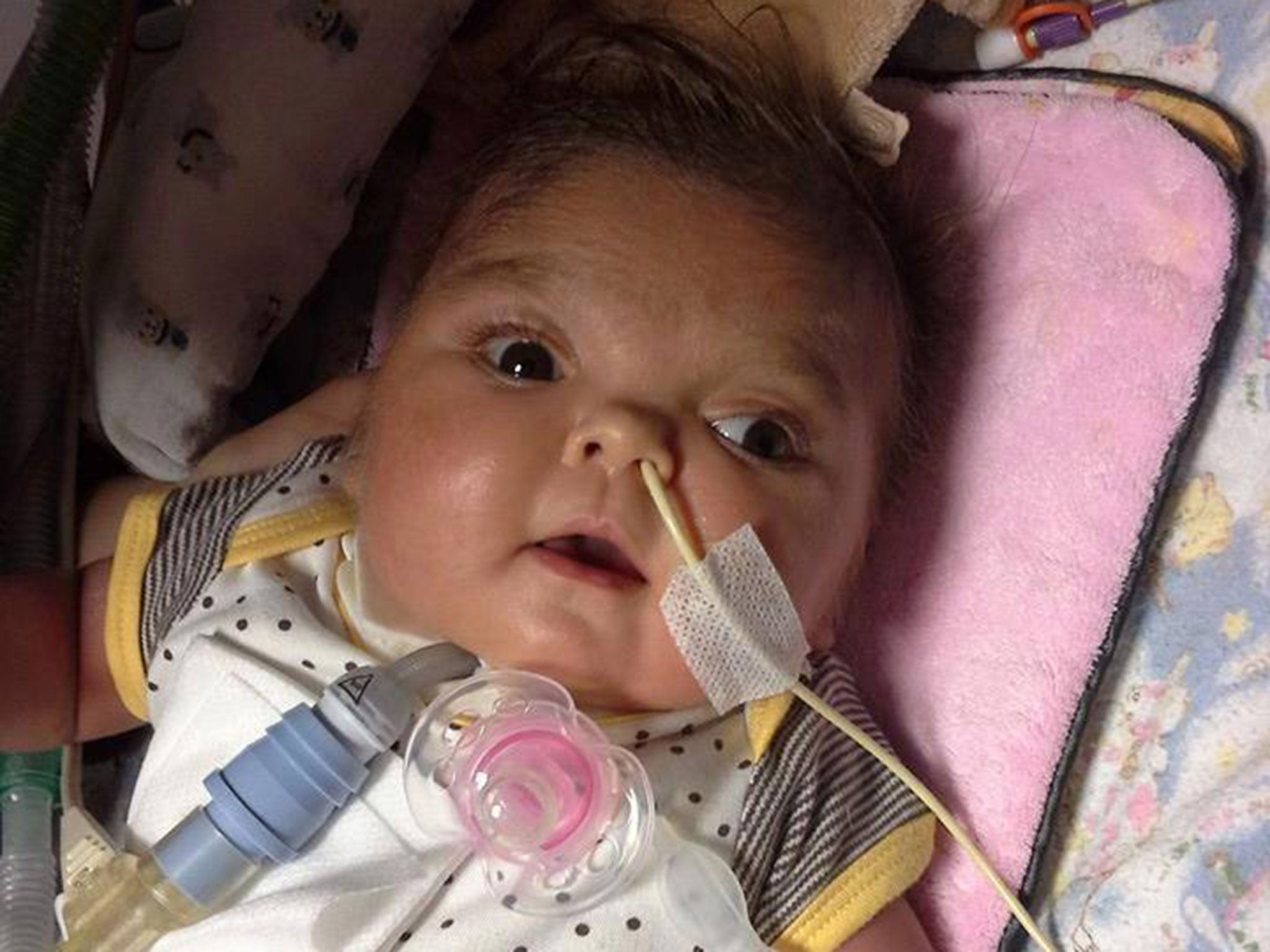 Olivia Stanca, one, died after her parents agreed to withdraw her life support at Great Ormond Street Hospital