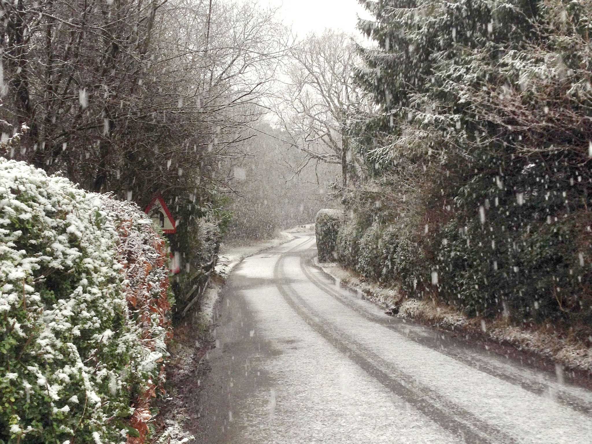 Snow blankets the Sussex lane early this morning