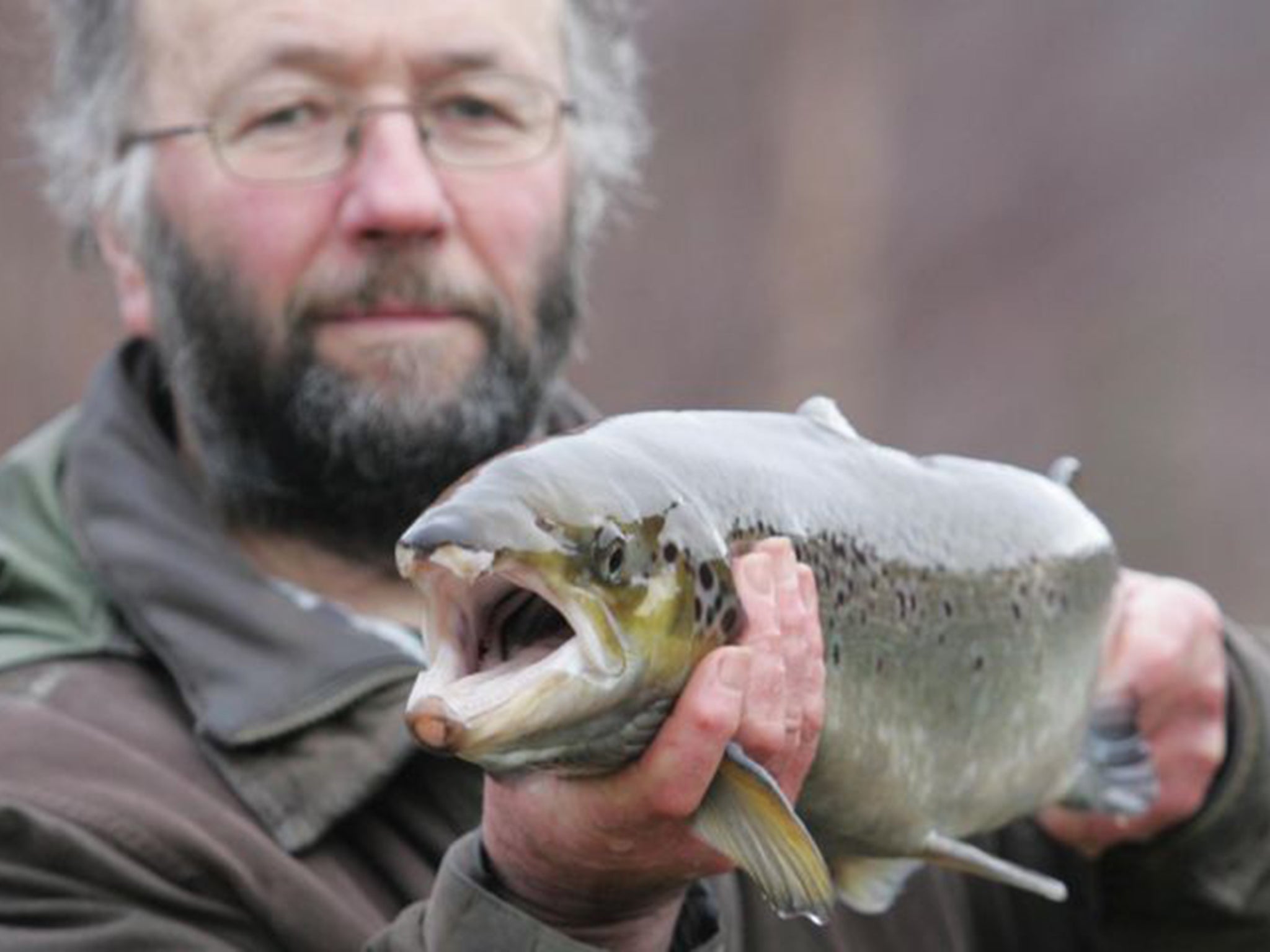 Bob Kindness, who released 330,000 young salmon into the river Carron last year