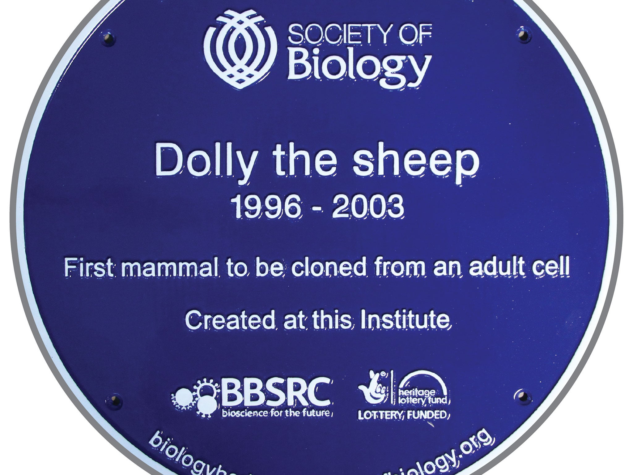 The plaque being erected in honour of Dolly the sheep