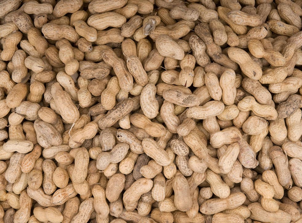 Peanut allergies have doubled over the past few decades and affect about one per cent of the population (Getty)