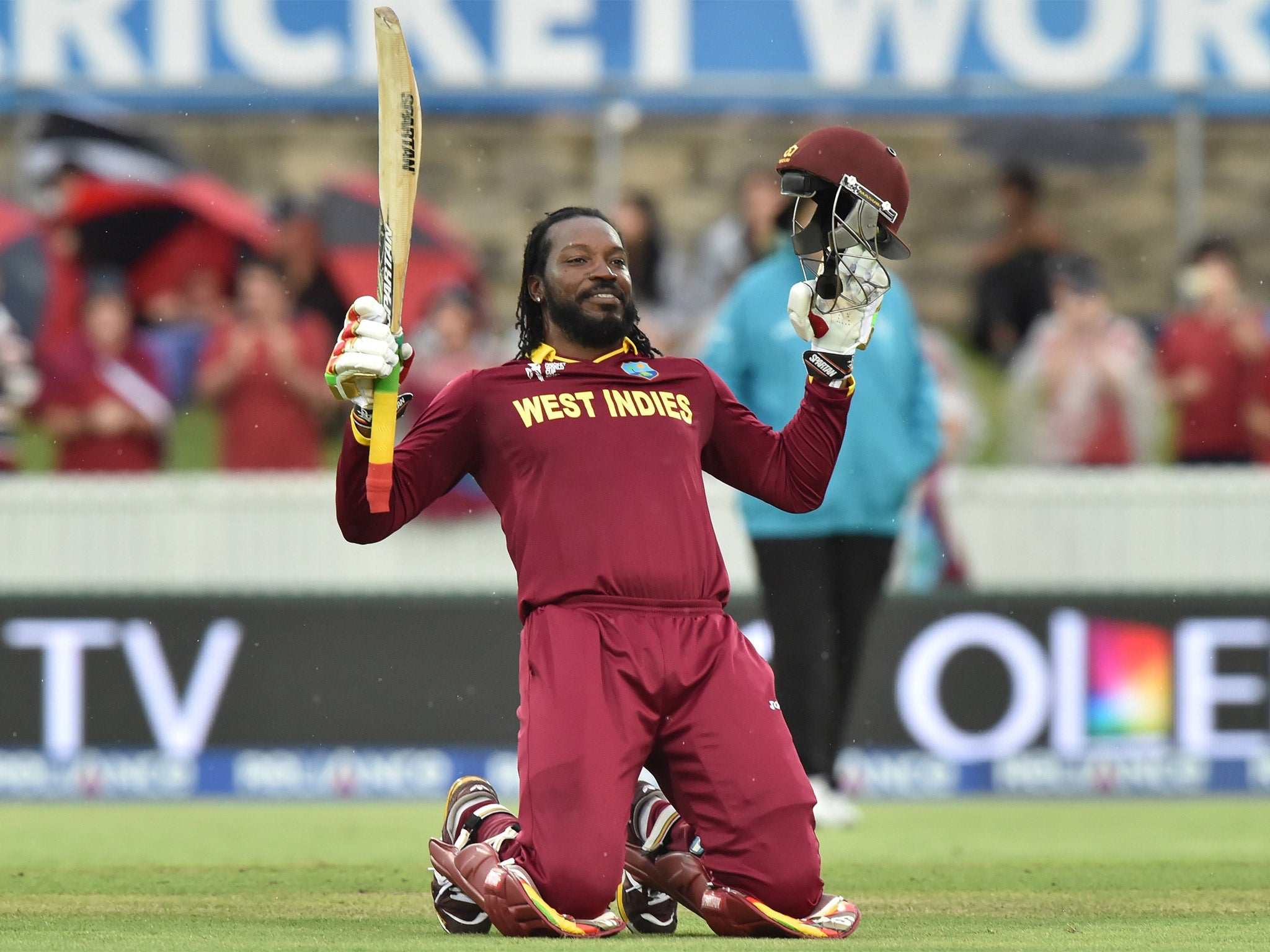 Chris Gayle celebrates his double-century in Canberra