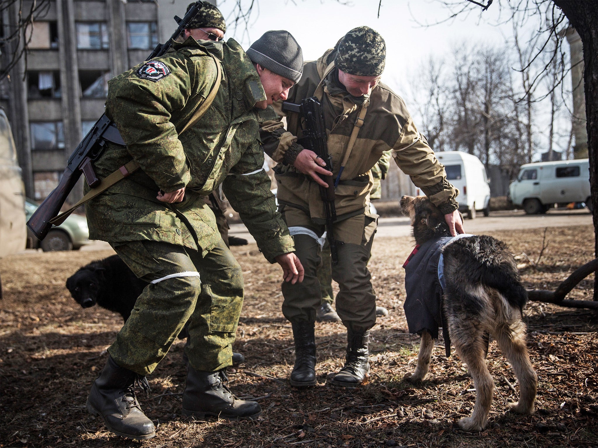 Russian backed rebels make play with a stray dog in Debaltseve on Wednesday