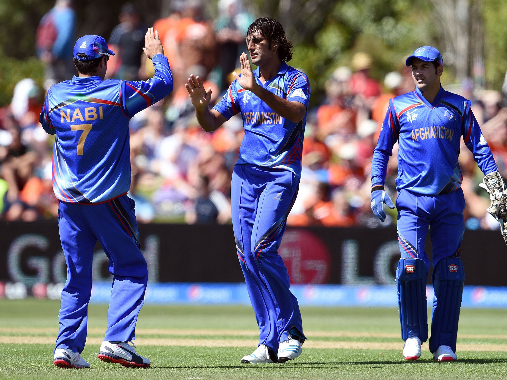 Shapoor Zadran celebrates taking a wicket for Afghanistan