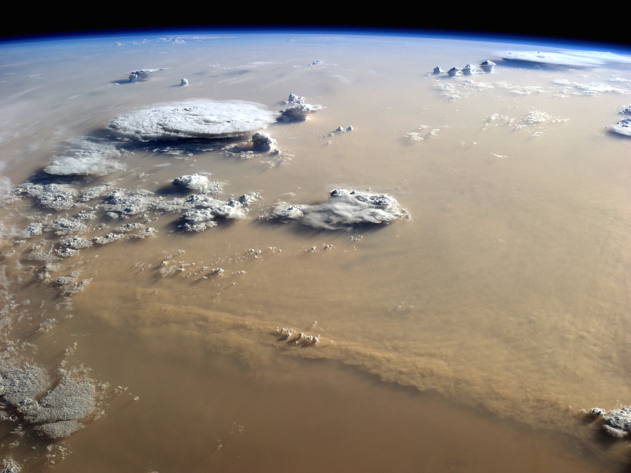 Scientists have measured the amount of dust carried from the Sahara to the Amazon rainforest