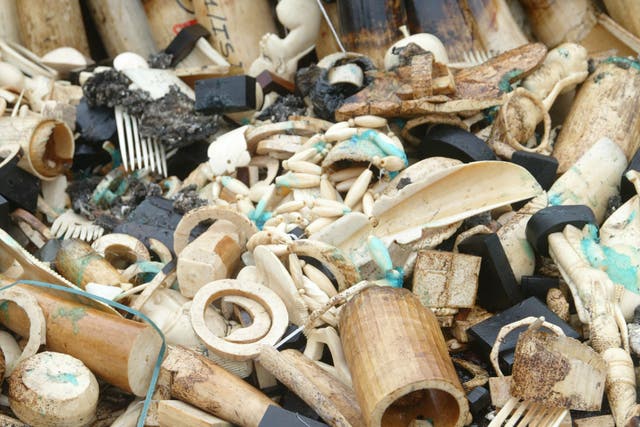 Five tons of illegal ivory waits to be burned in Gabon 