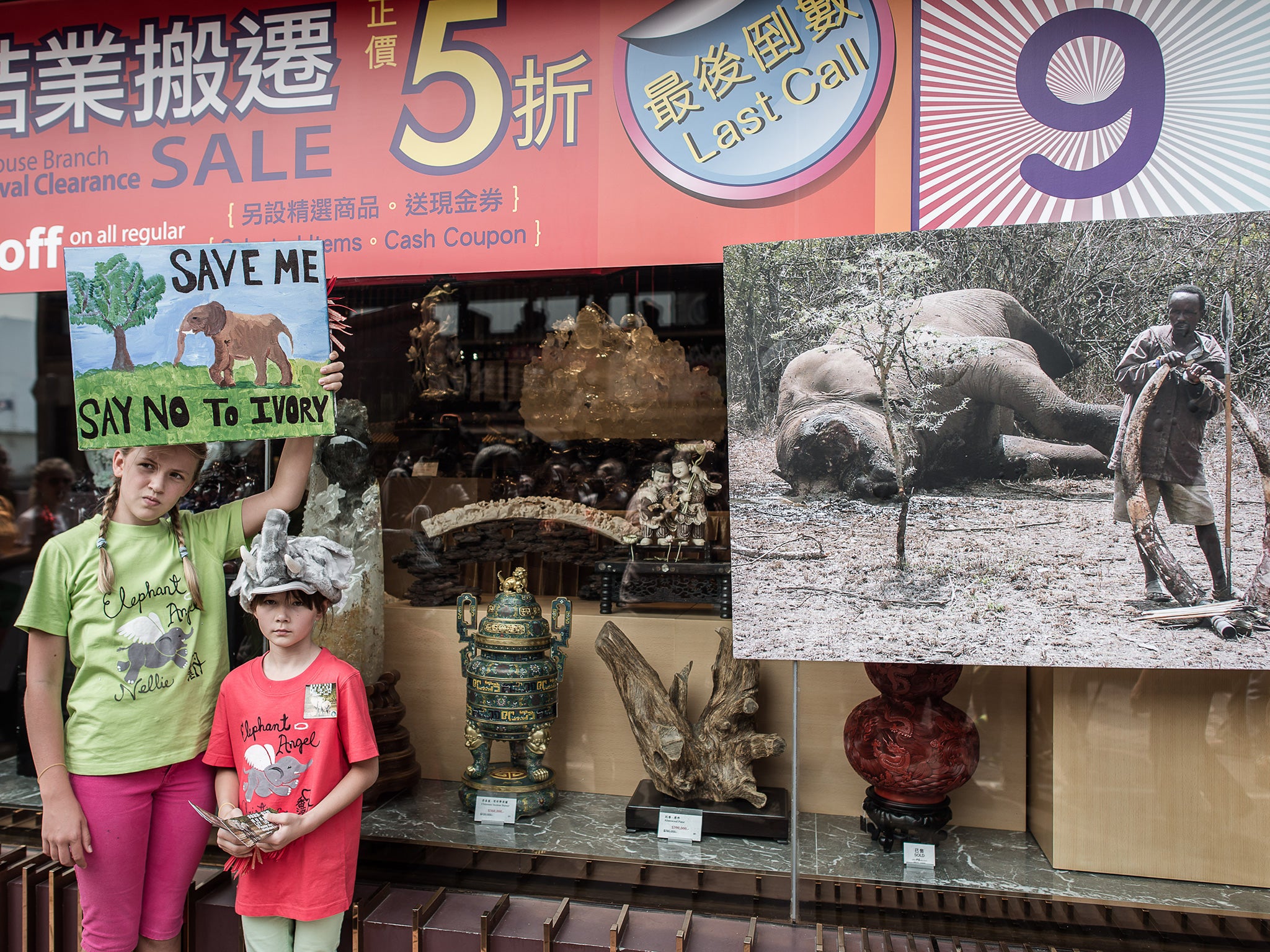 A ban on ivory imports has been introduced in Beijing with immediate effect