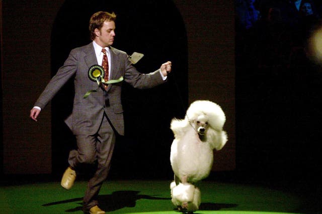 Crufts will celebrate its 125th anniversary in 2016