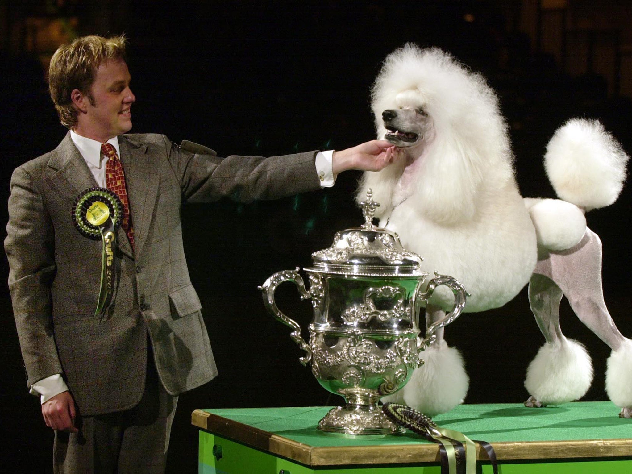 Standard poodle Topscore Contradiction from Norway with handler Michael Nilson after being named as Best in Show winner at Crufts in 2002, the first foreign winner