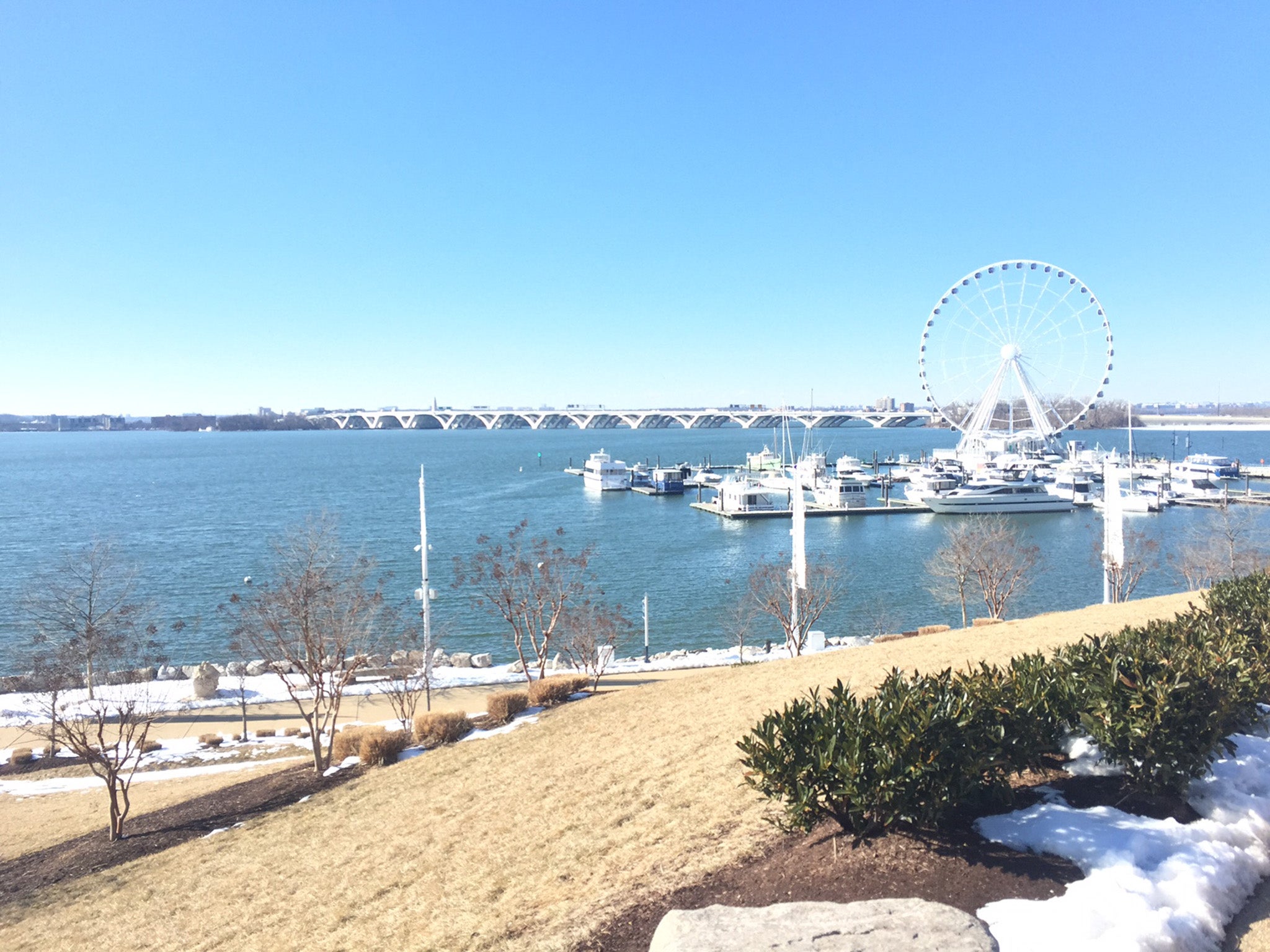 The Maryland bank of the Potomac River. The convention centre overlooks the river.