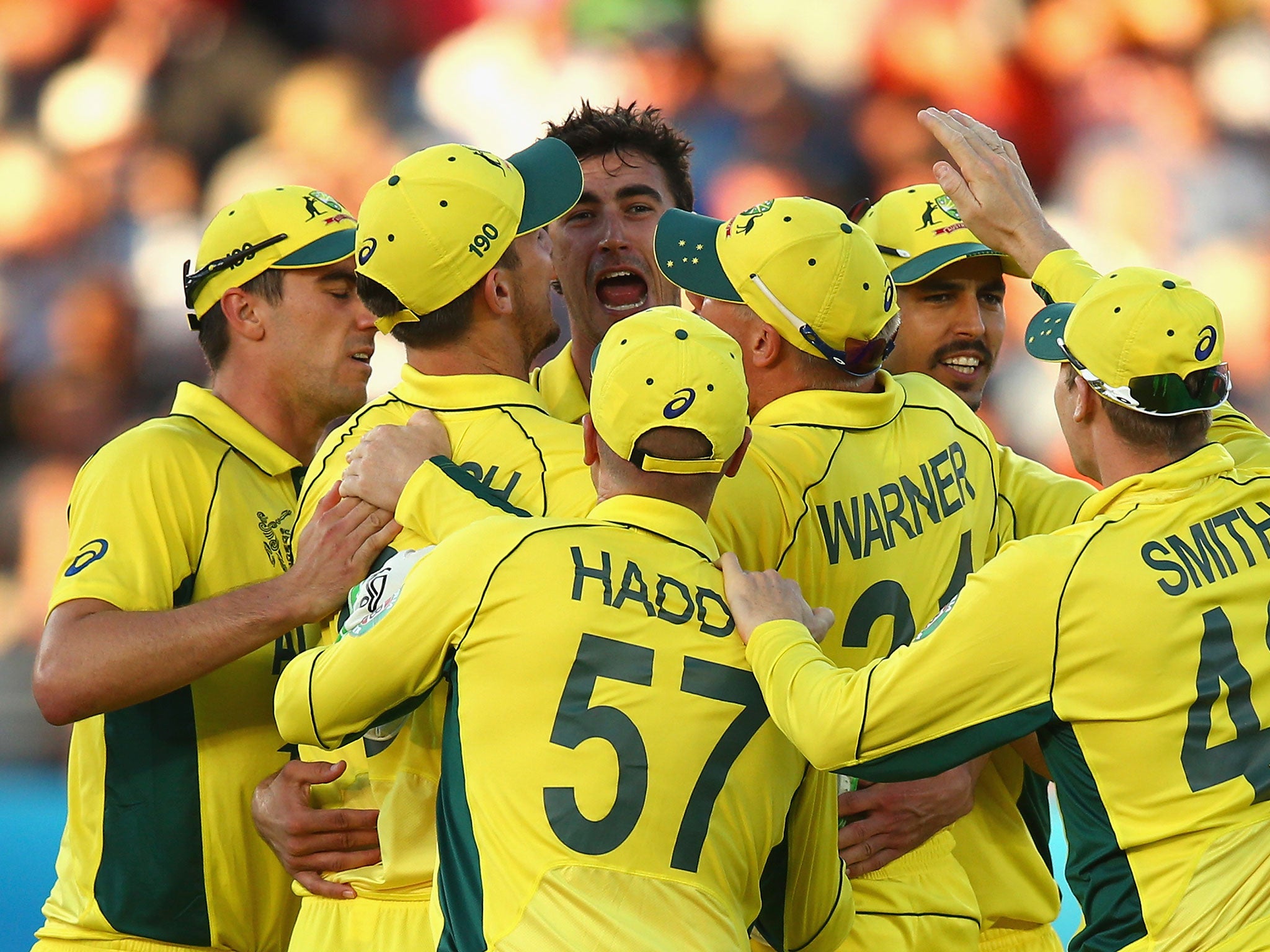 Mitchel Starc celebrates taking the wicket of Tim Southee