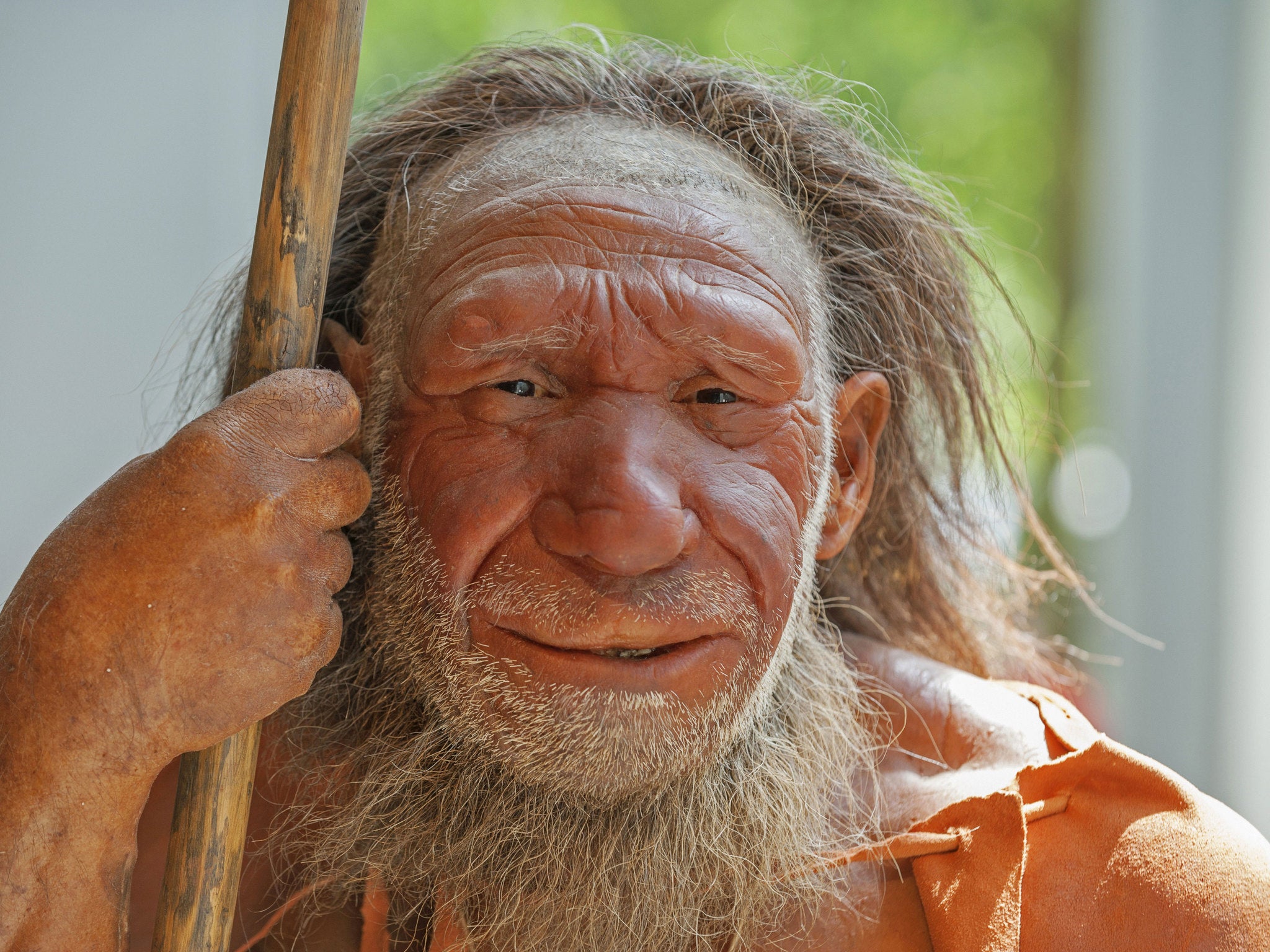 Model of a Neanderthal man