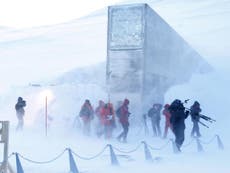 Doomsday vault: first tree samples arrive at underground, frozen seed store