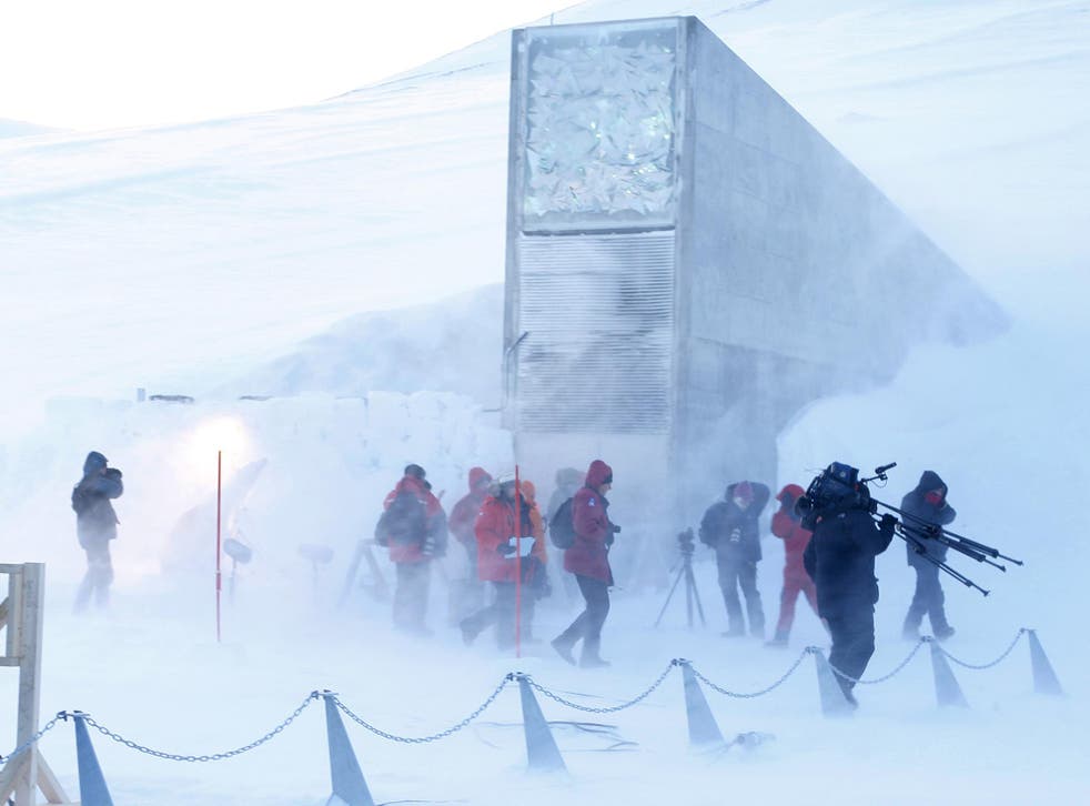 Doomsday Vault First Tree Samples Arrive At Underground Frozen Seed Store The Independent The Independent Doomsday Vault First Tree Samples Arrive At Underground Frozen Seed Store The Independent The Independent