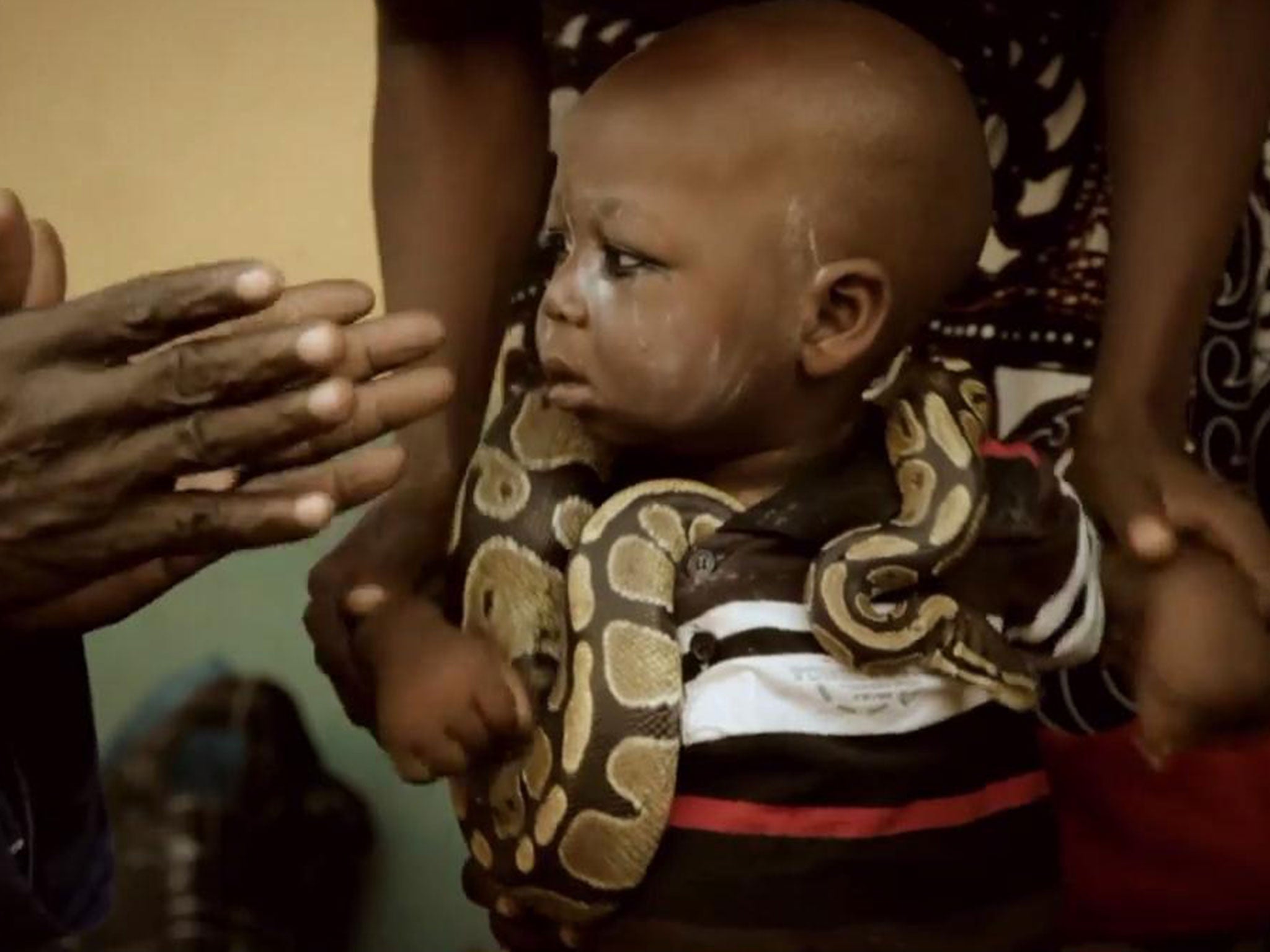 Meet the eccentric Nigerian men who play with hyenas and snakes for show [Video]