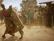 The hyena men of Nigeria: Nomads tame baboons and snakes