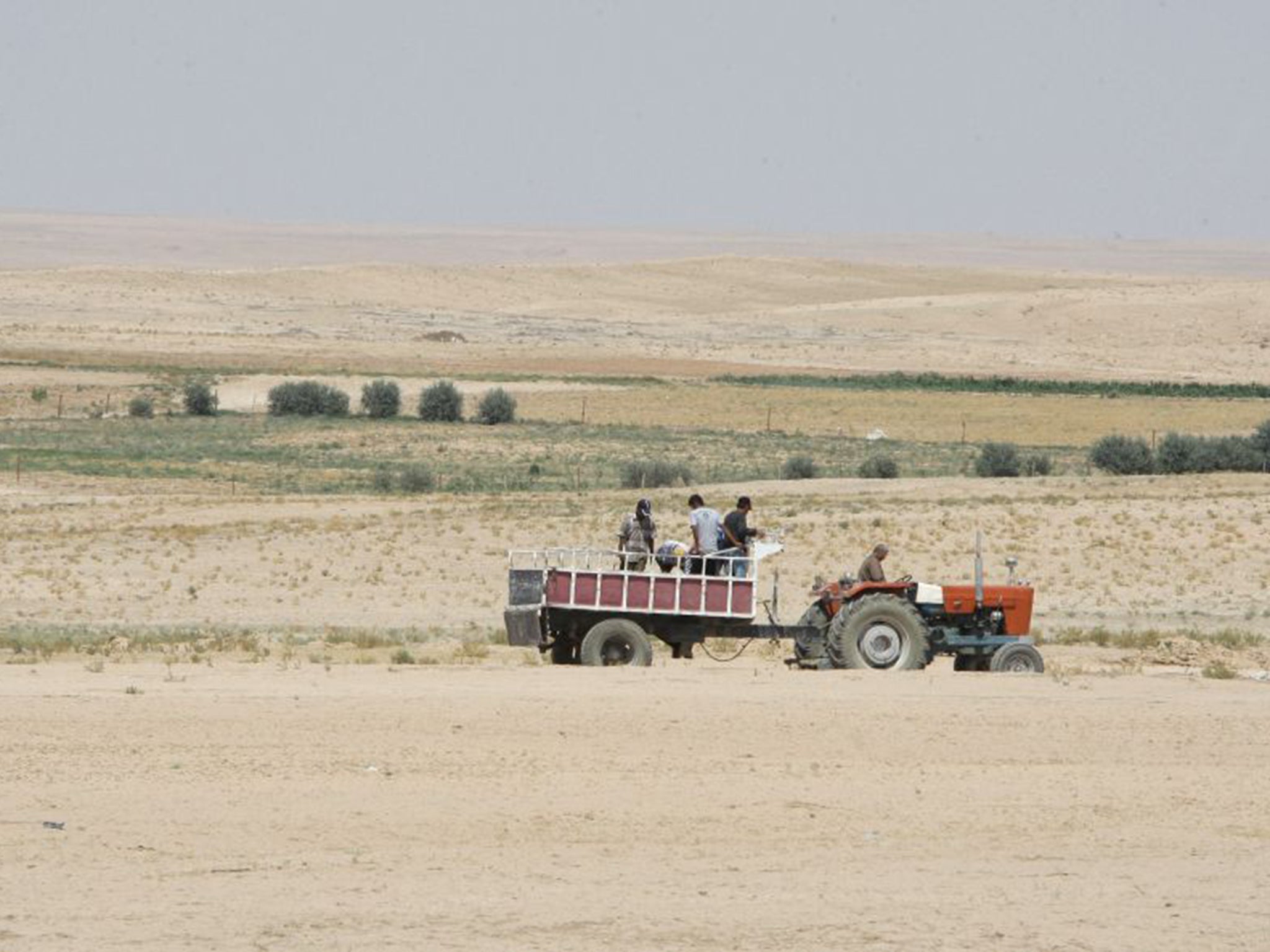 Farmers in Syria’s drought-hit Hasaka region. The UN is now giving food aid to almost 200,000 people 