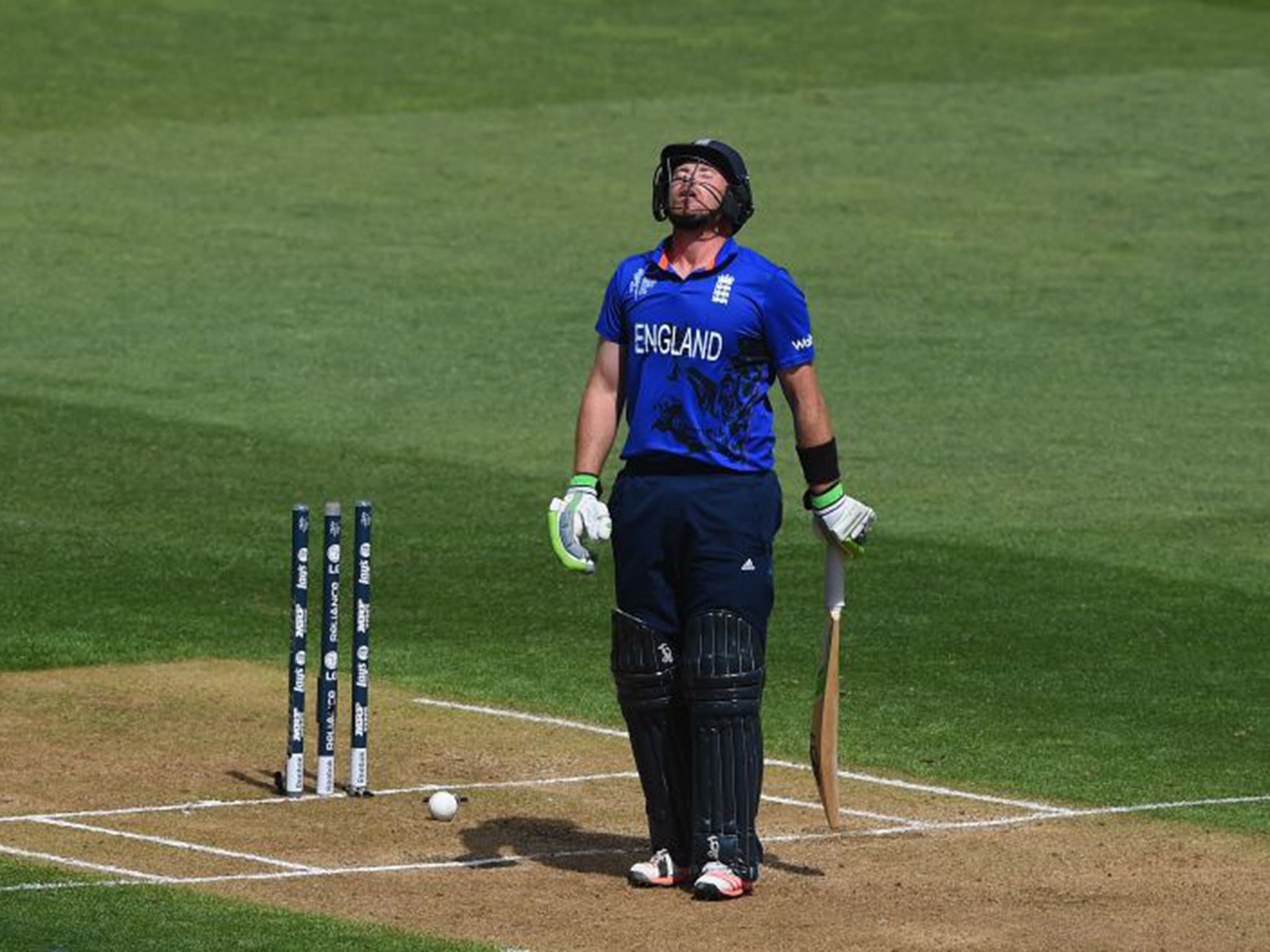 Ian Bell loses his wicket for 49 during England’s latest World Cup defeat, against Sri Lanka, in Wellington on Sunday