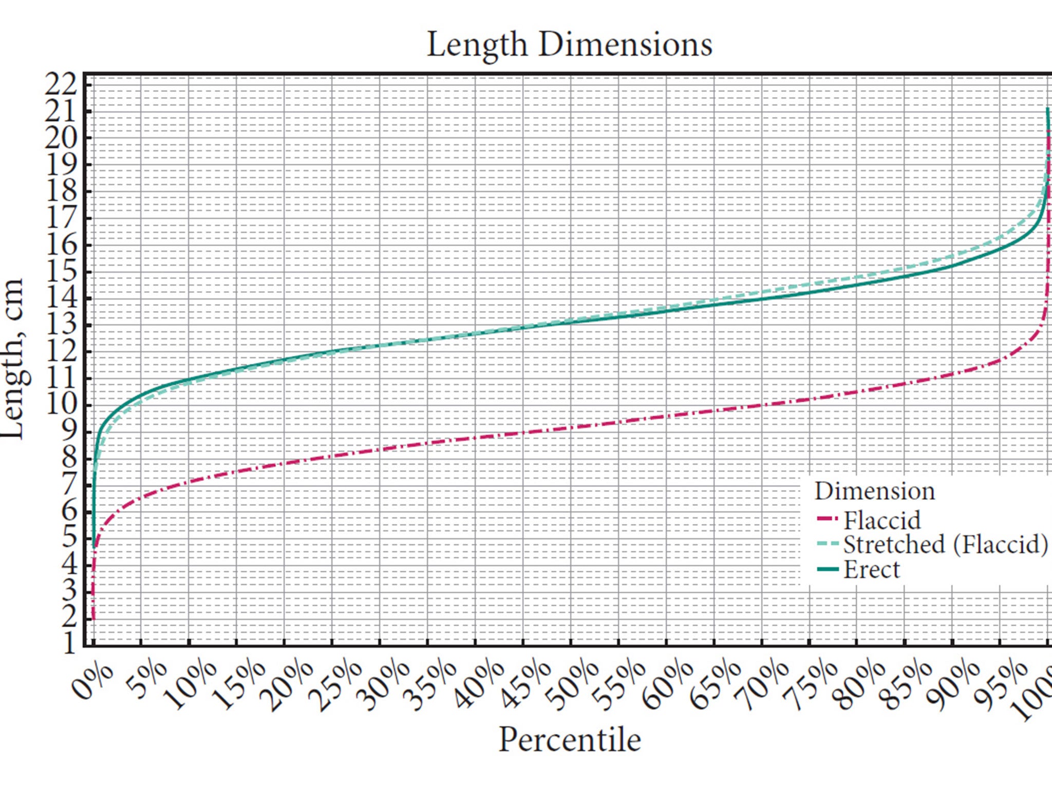 What is the average penis size?