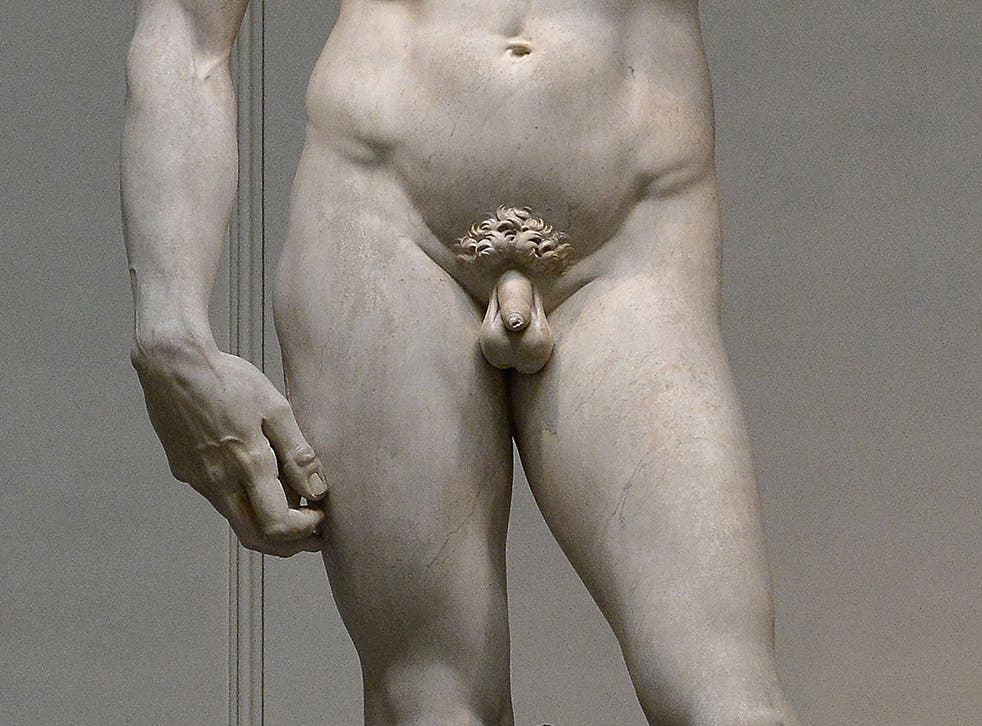 Michelangelo's masterpiece David, at the Galleria dell'Accademia in Florence