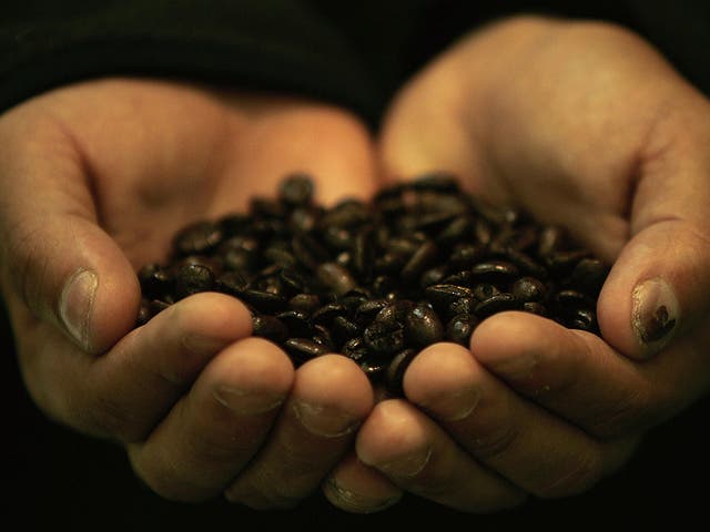 Honduran farmer Dennis Alfredo Cruz shows roasted coffee beans at a Fair Trade event on the sidelines of the World Trade Organization Summit (WTO) in Hong Kong, 16 December 2005