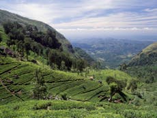 Read more

Kandy, Sri Lanka: A city of relics ringed with tea