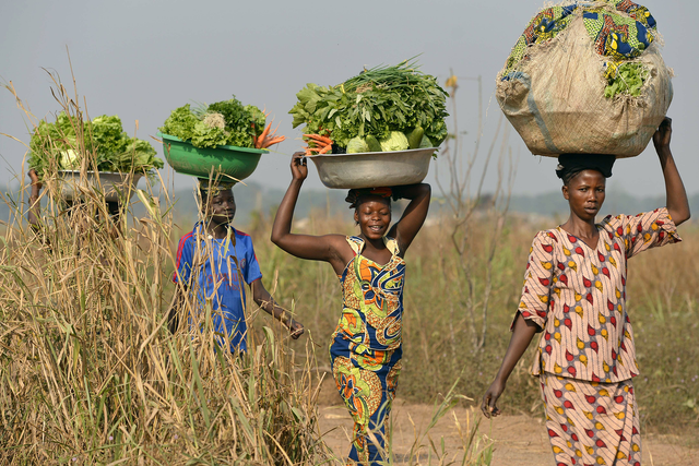 Women come back from the fields to sell vegetables at a market in Bangui, Central African Republic