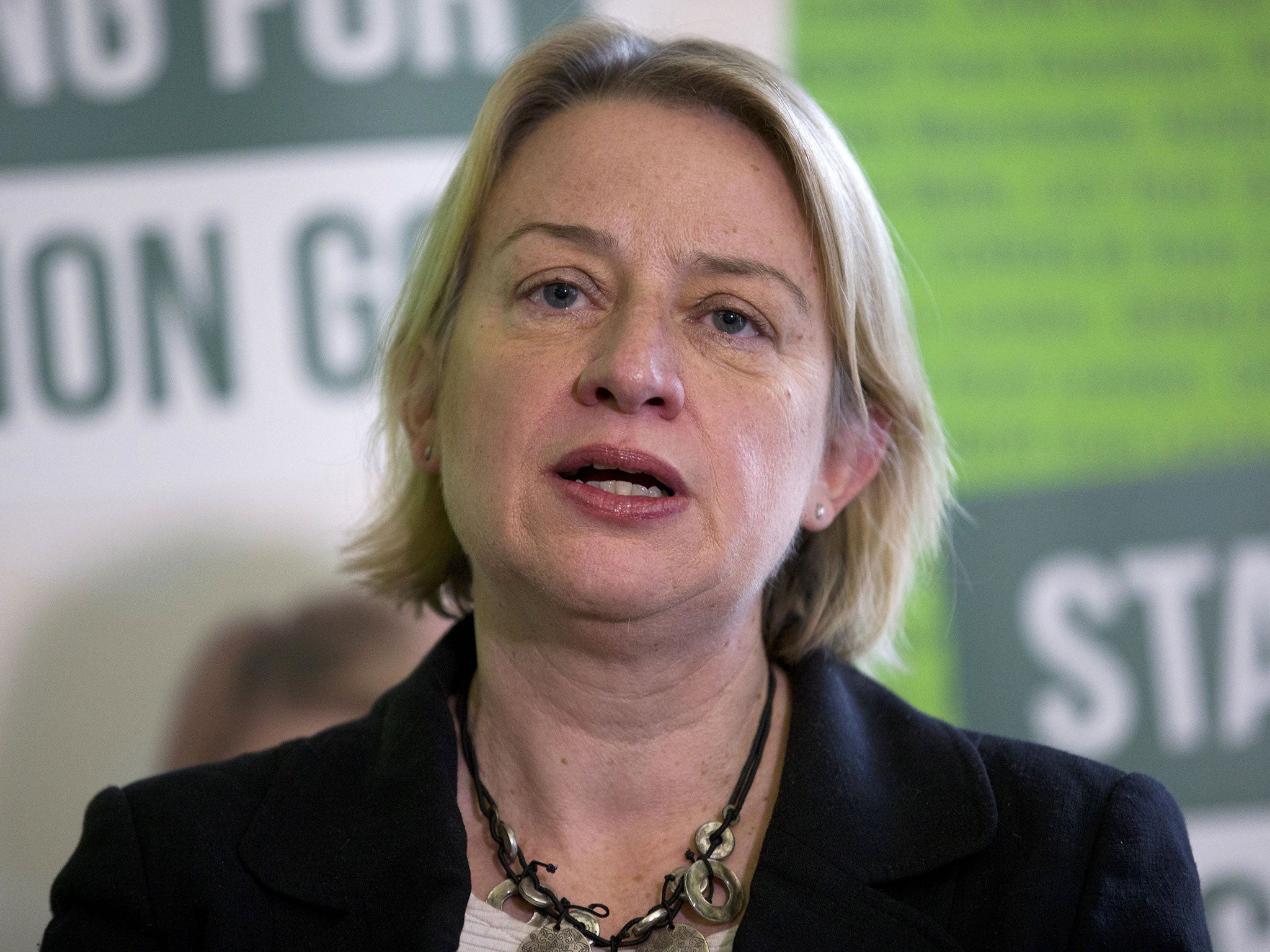 Green Party leader Natalie Bennett speaks during a press conference to launch the party's election campaign in London on February 24, 2015.