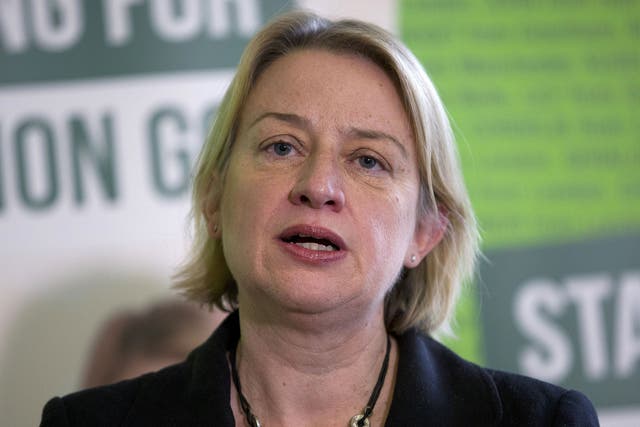 Green Party leader Natalie Bennett speaks during a press conference to launch the party's election campaign in London on February 24, 2015. 