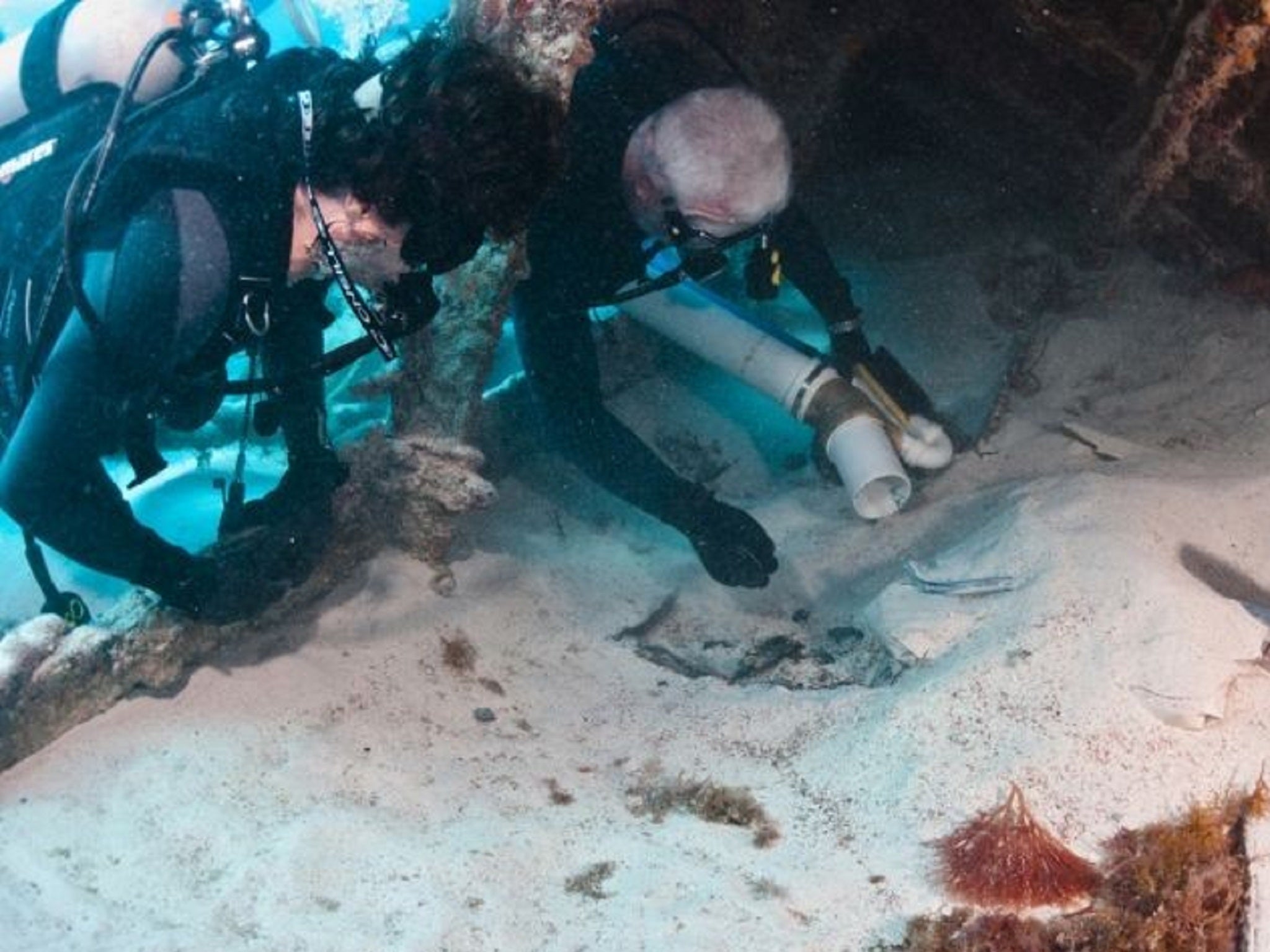 An excavation of the bow of the Civil War blockade runner ship