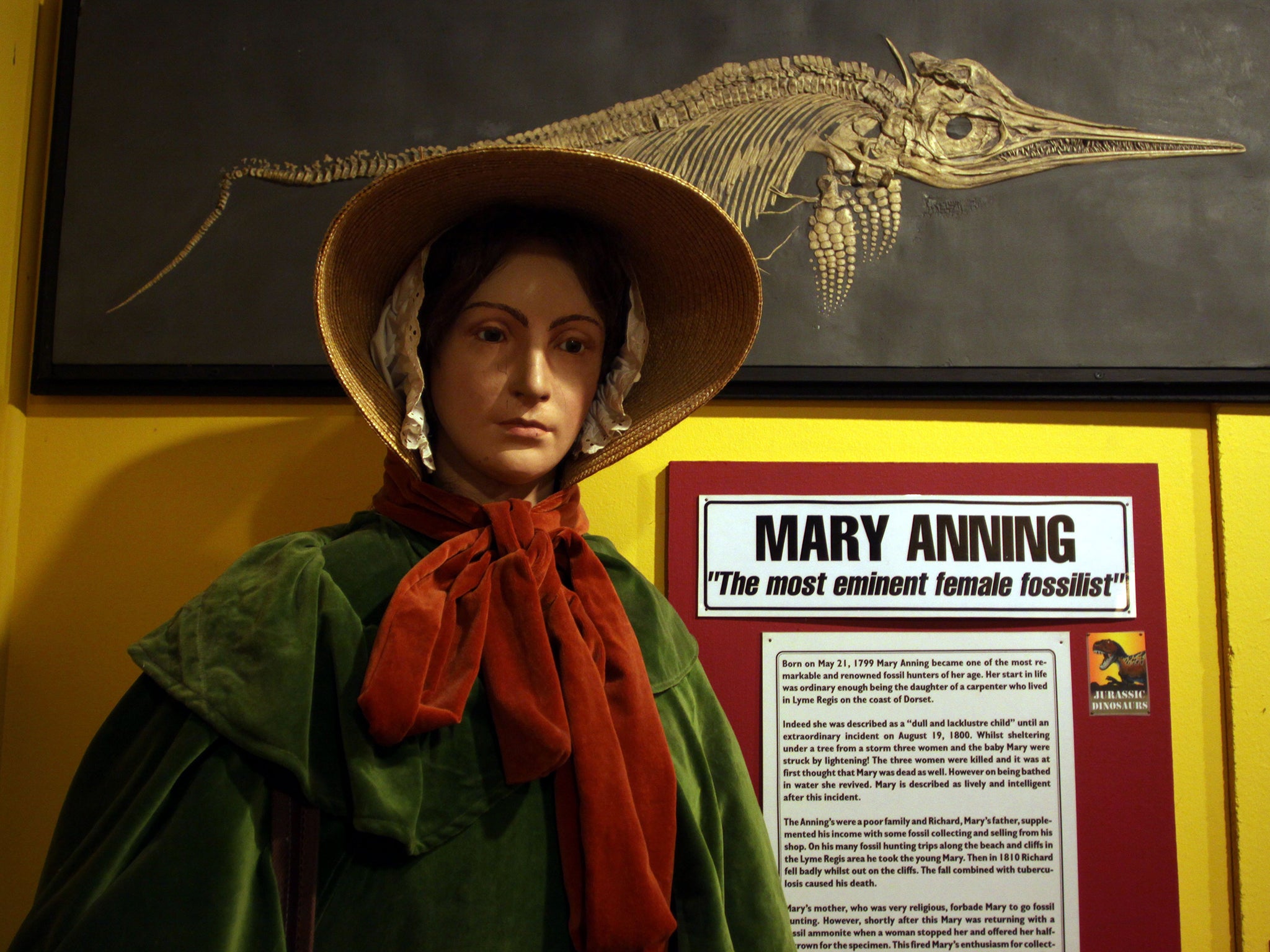Mary Anning was a leading fossil collector (Richard Gardner/REX)