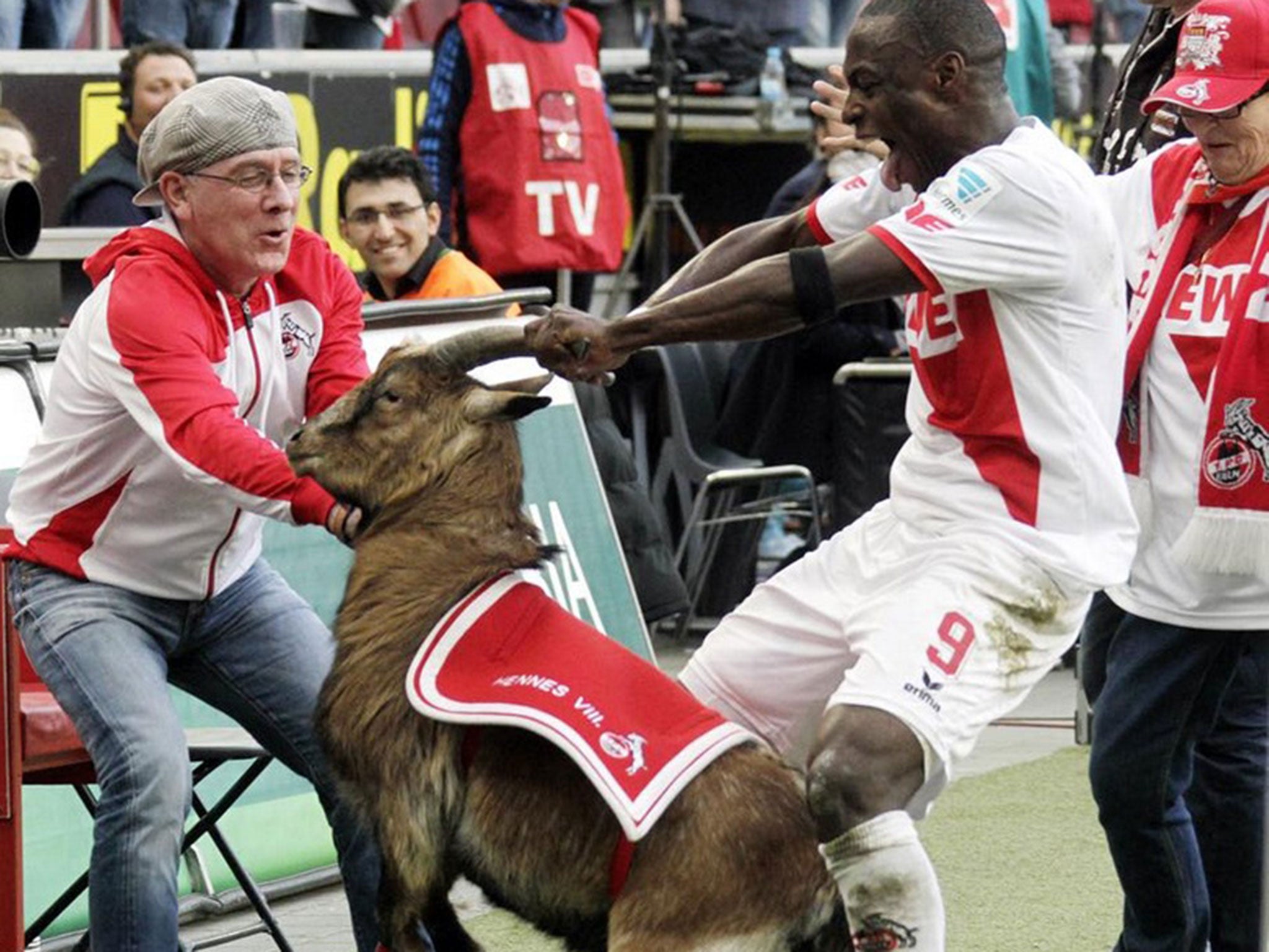 Anthony Ujah celebrates with Hennes the goat