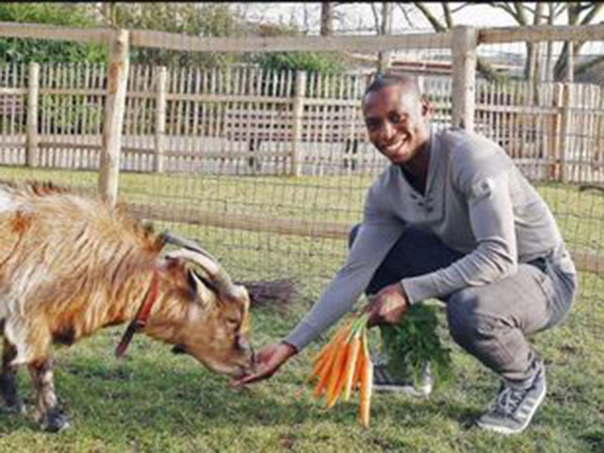 Cologne Forward Anthony Ujah Apologises For Goat Celebration And Said Sorry By Visiting Hennes During Birthday Bash The Independent The Independent